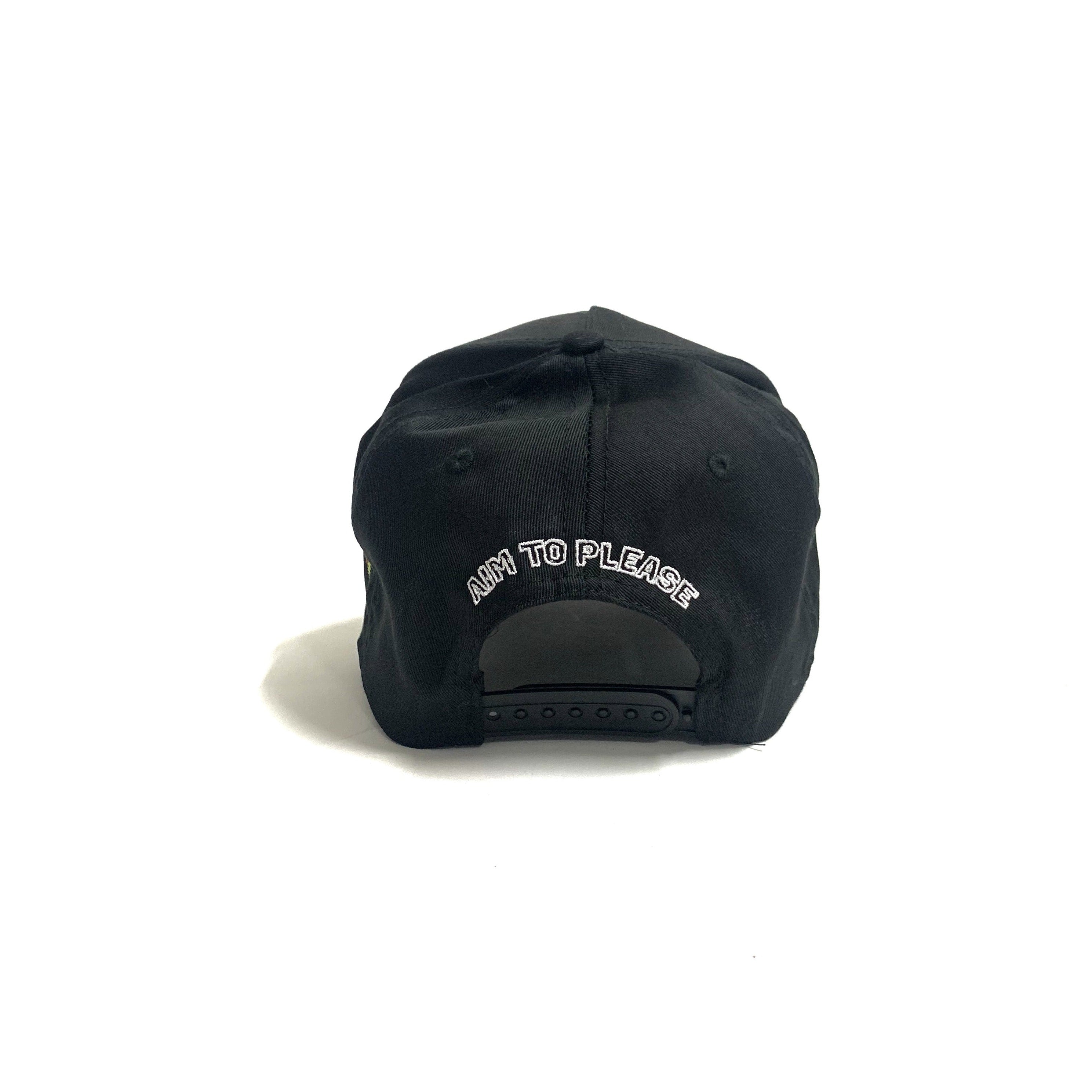 Aim To Please 2.0 Hat in Black